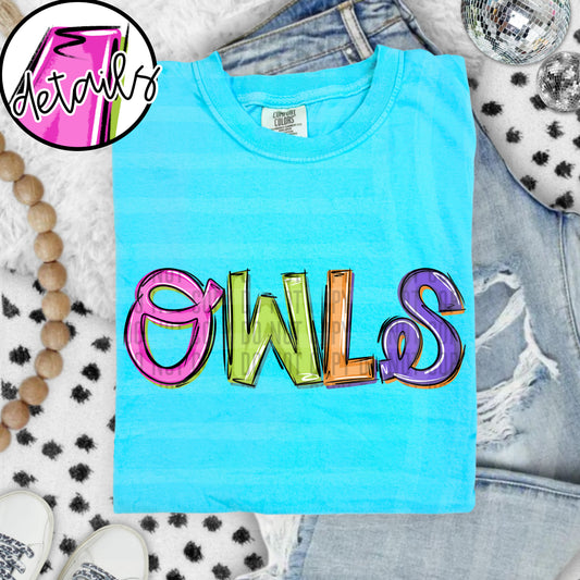 DOODLE COLORFUL OWLS