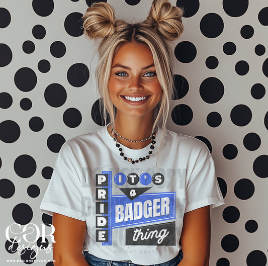 Its A Badger Pride Thing Blue And Grey