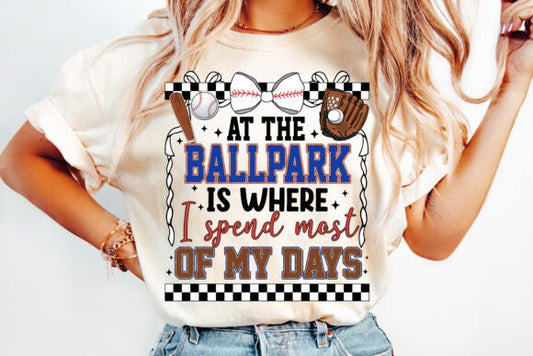 At The Ball Park Is Where I Spend Most Of My Days