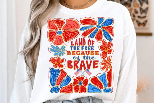 Land of the free because of the brave