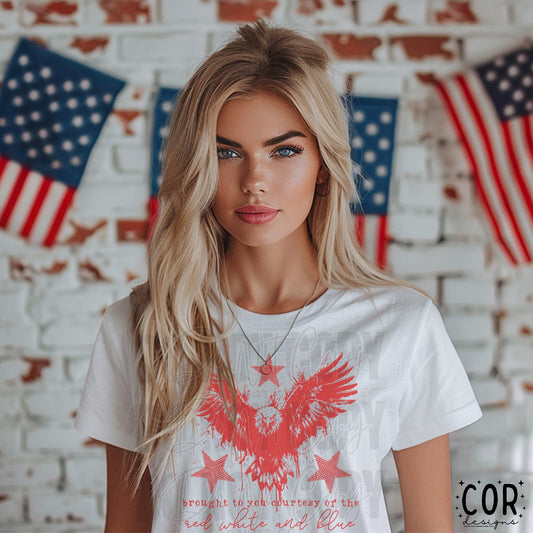 Brought to you courtesy of the red white and blue (Red)