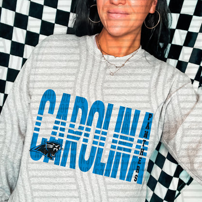 NFL Lined - Carolina Panthers