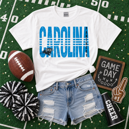 NFL Lined - Carolina Panthers