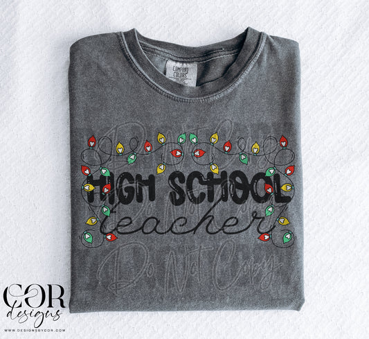 High School Teacher (Christmas Lights)