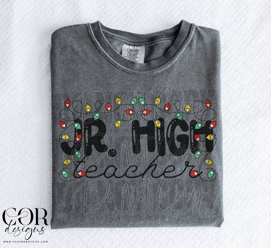 Jr. High Teacher (Christmas lights)