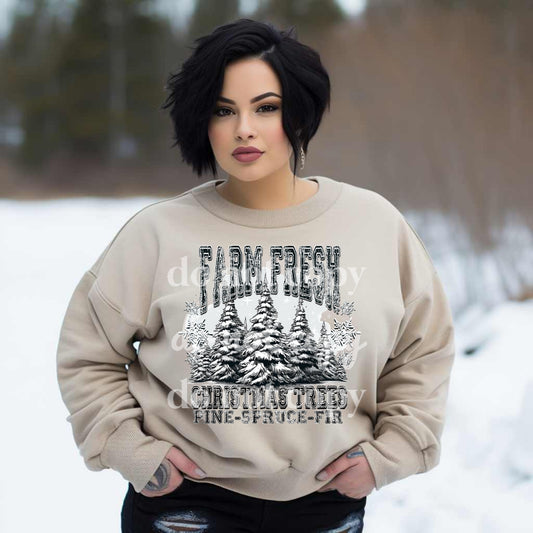 Pine Spruce Fir