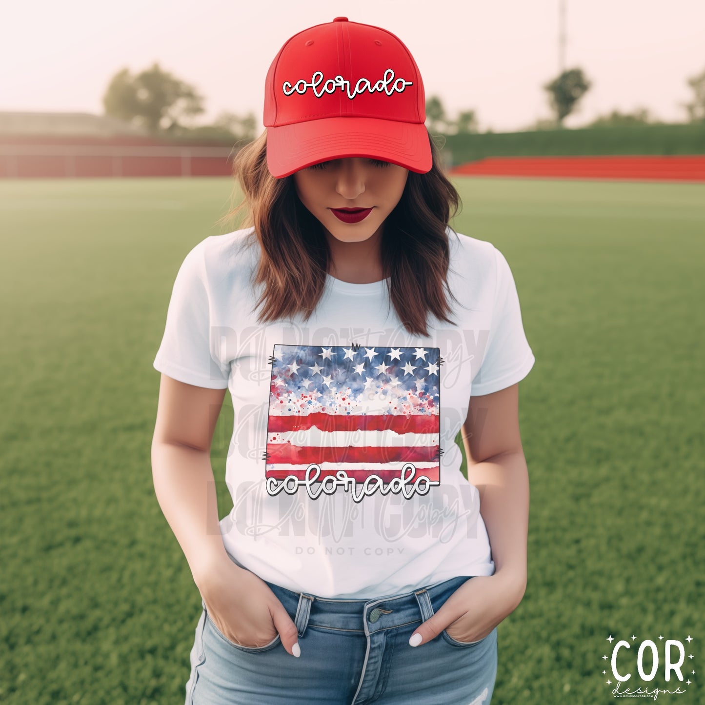 Colorado Flag State