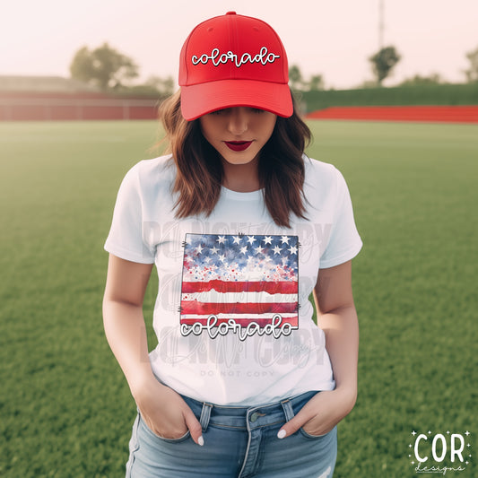 Colorado Flag State