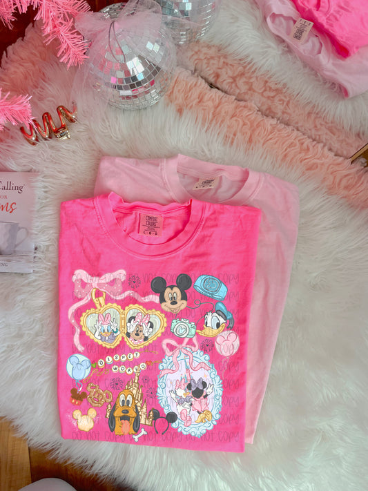 DISNEY WORLD