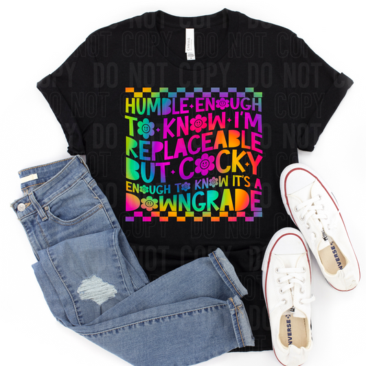 Humble enough to know I'm replaceable but cocky enough to know it's a downgrade (rainbow)