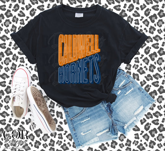 Hornets Orange And Blue