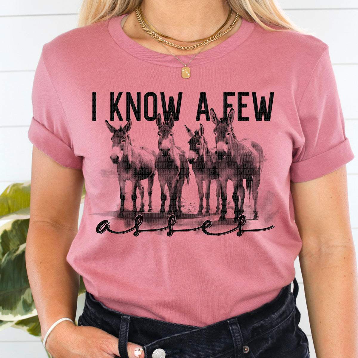 I Know A Few Asses - DTF Transfer