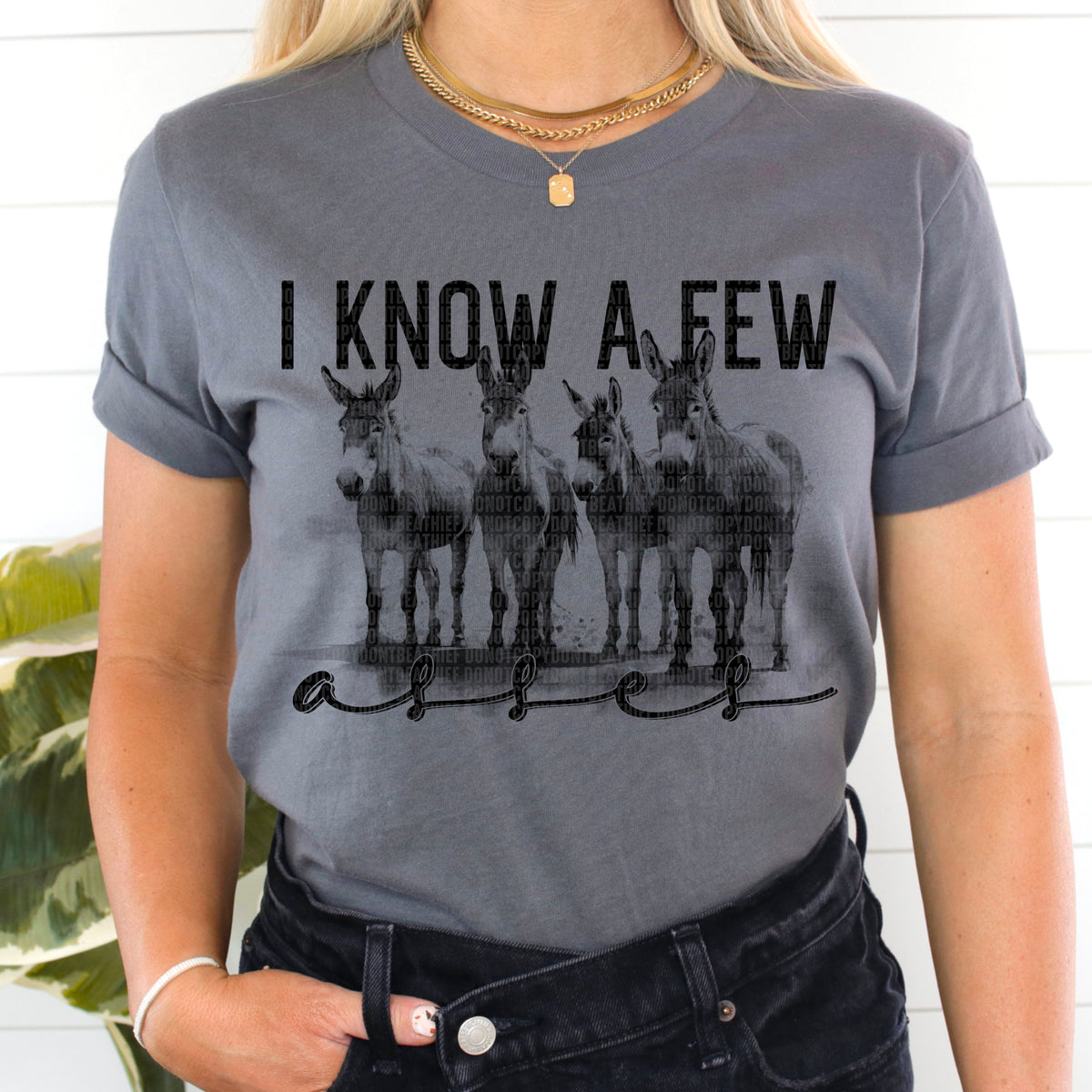 I Know A Few Asses - DTF Transfer