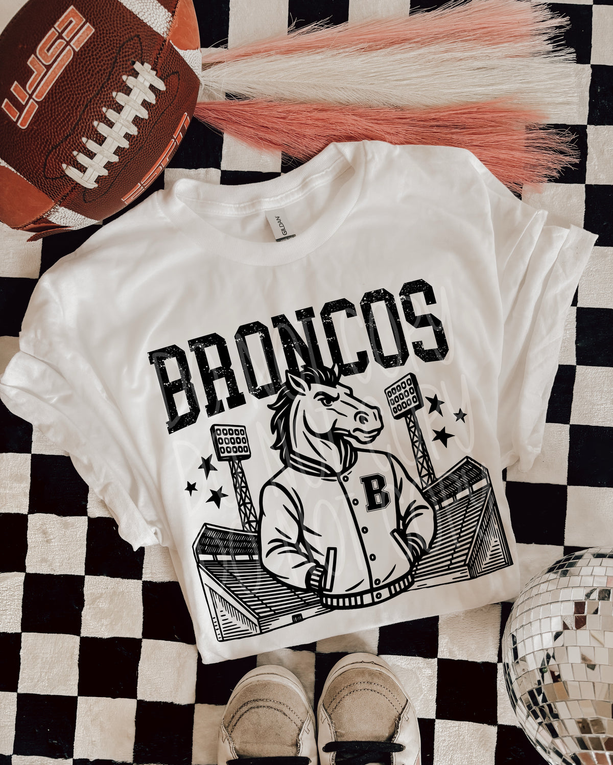 Broncos Stadium