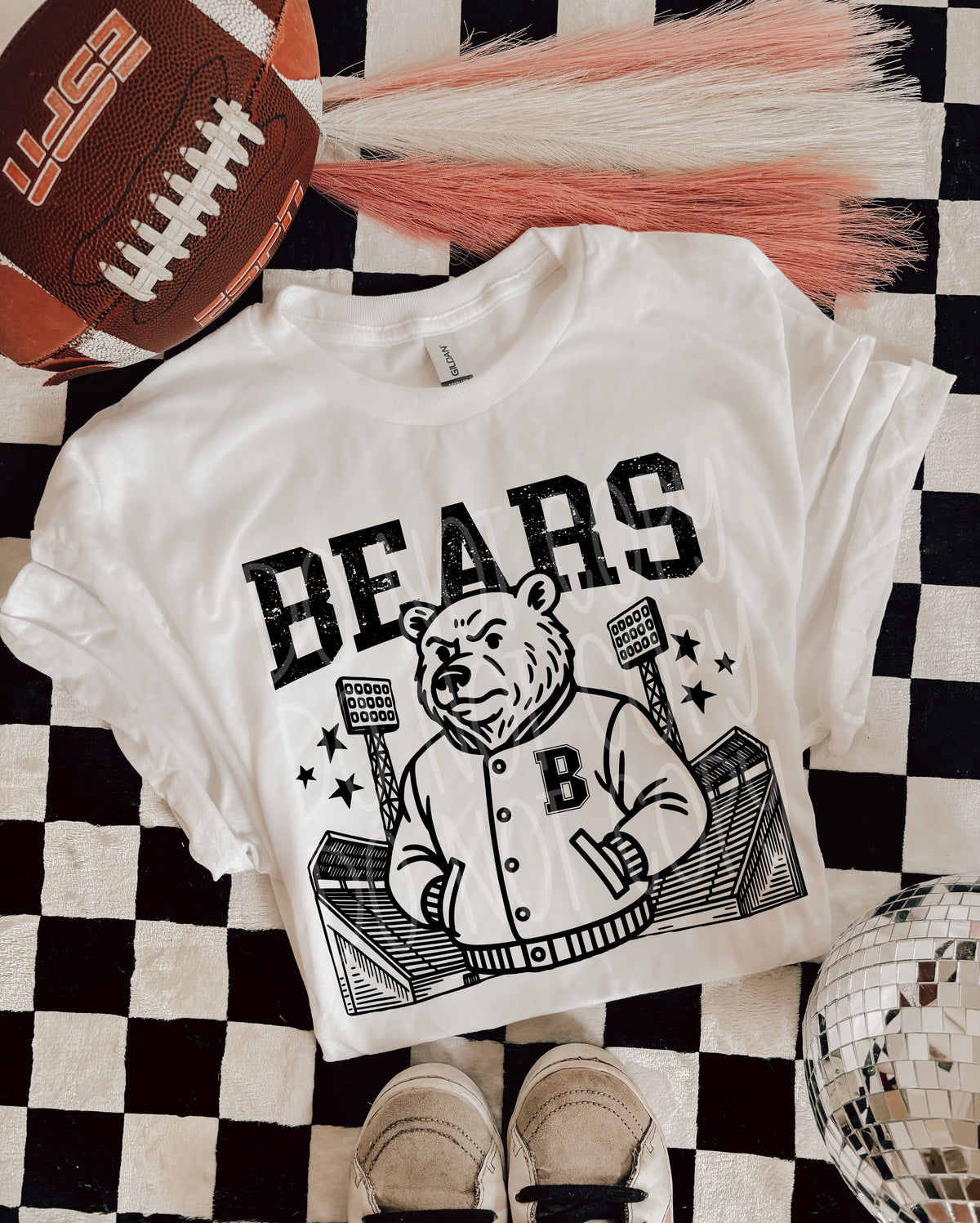 Bears Stadium