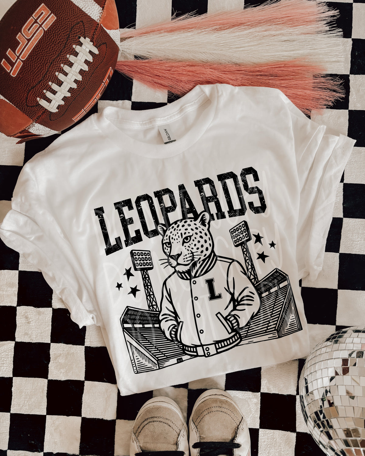 Leopards Stadium