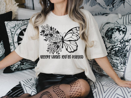 Bloom where you're planted