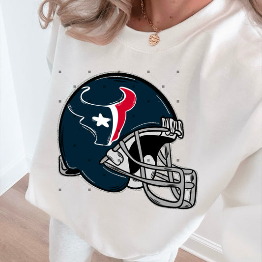 Houston Texans Large Helmet