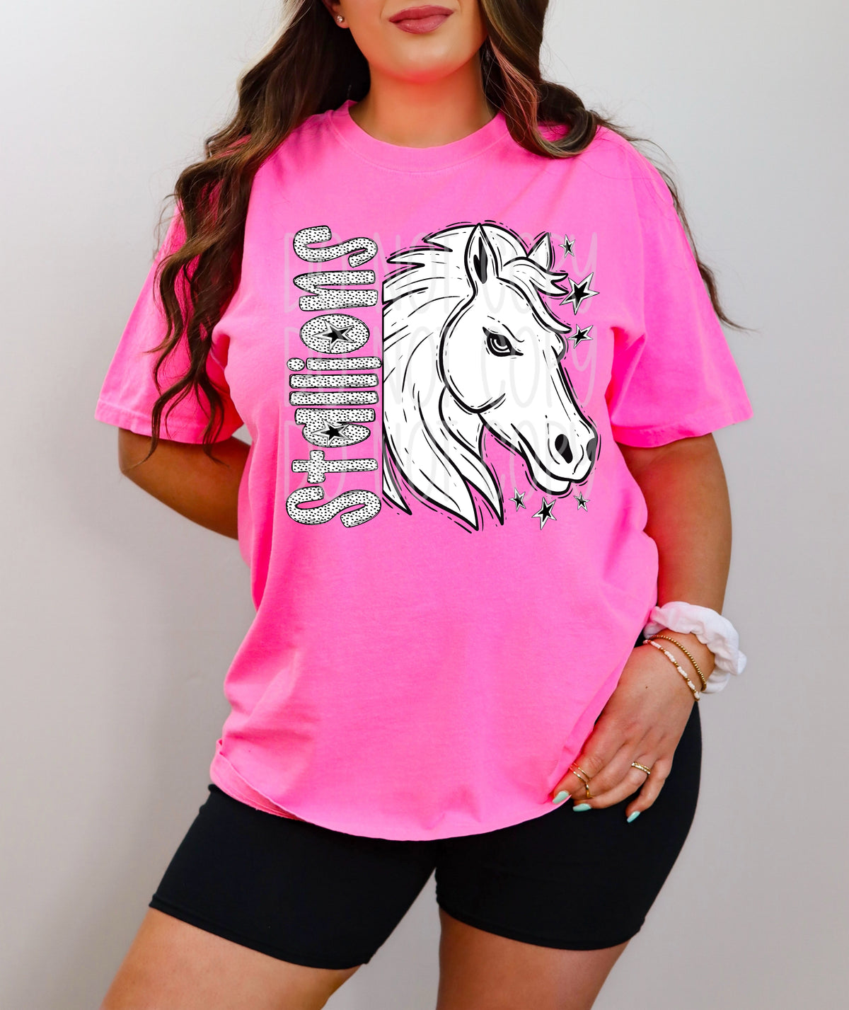 Black and White Stallions