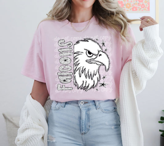 Black and White Falcons