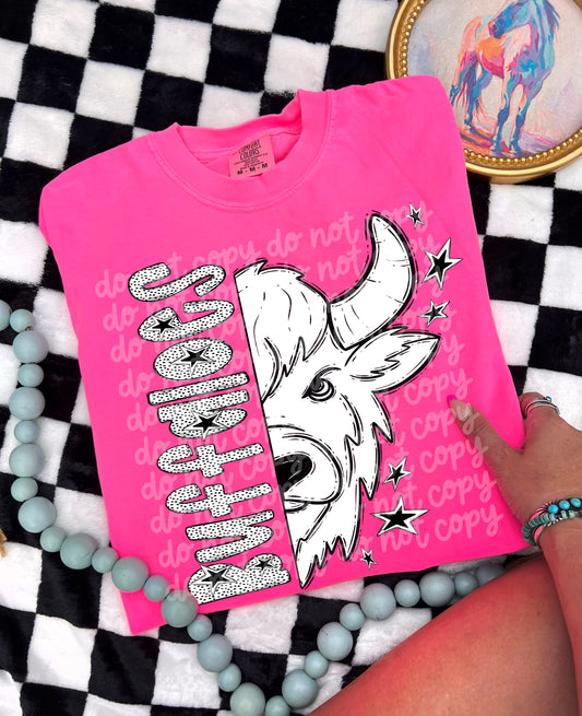 Black and White Buffaloes