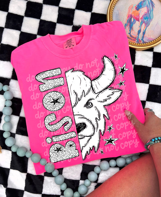 Black and White Bison