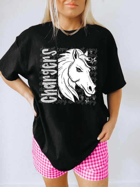 Black and White Chargers