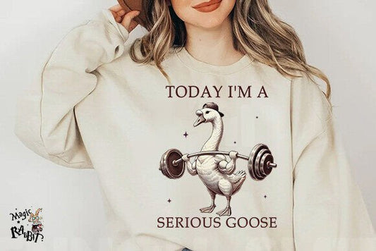 Today Im A Serious Goose
