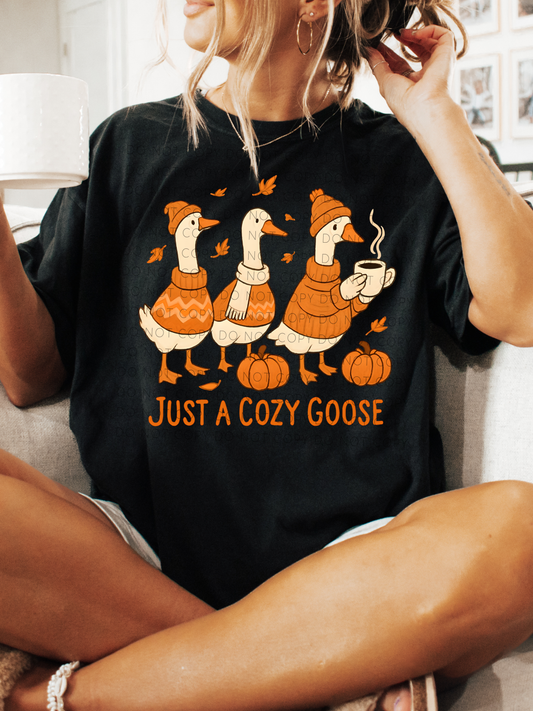 Just a cozy goose