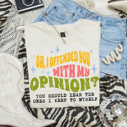 OH, I OFFENDED YOU WITH MY OPINION? YOU SHOULD HEAR THE ONES I KEEP TO MYSELF