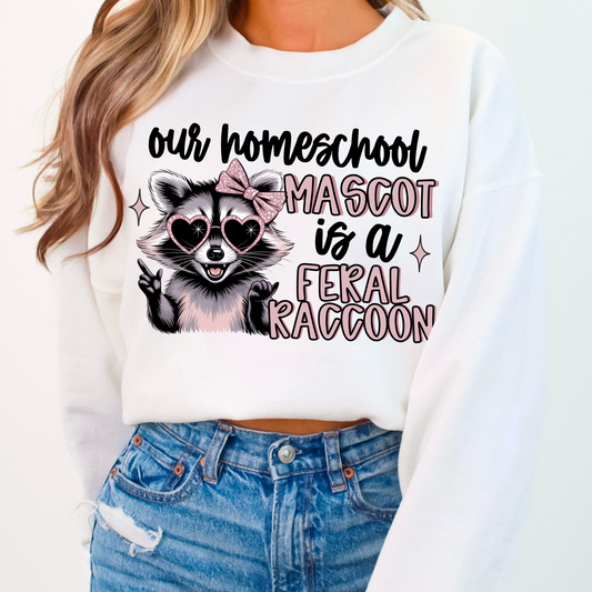 Our homeschool mascot is a feral raccoon (black)