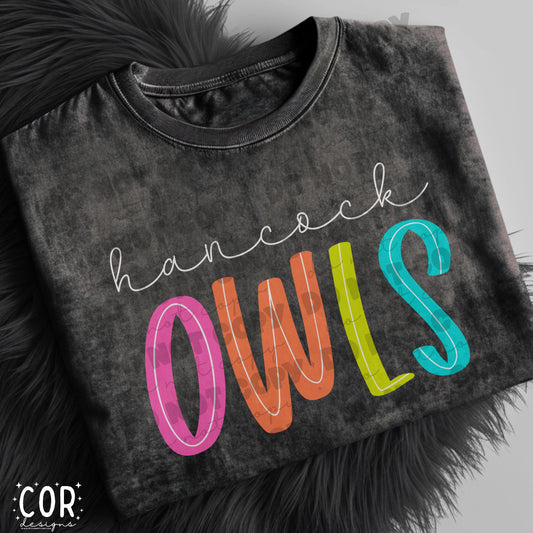Hancock Owls