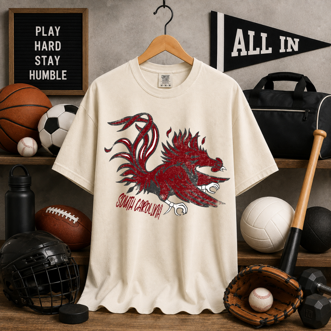 NCAA BIGS - SOUTH CAROLINA