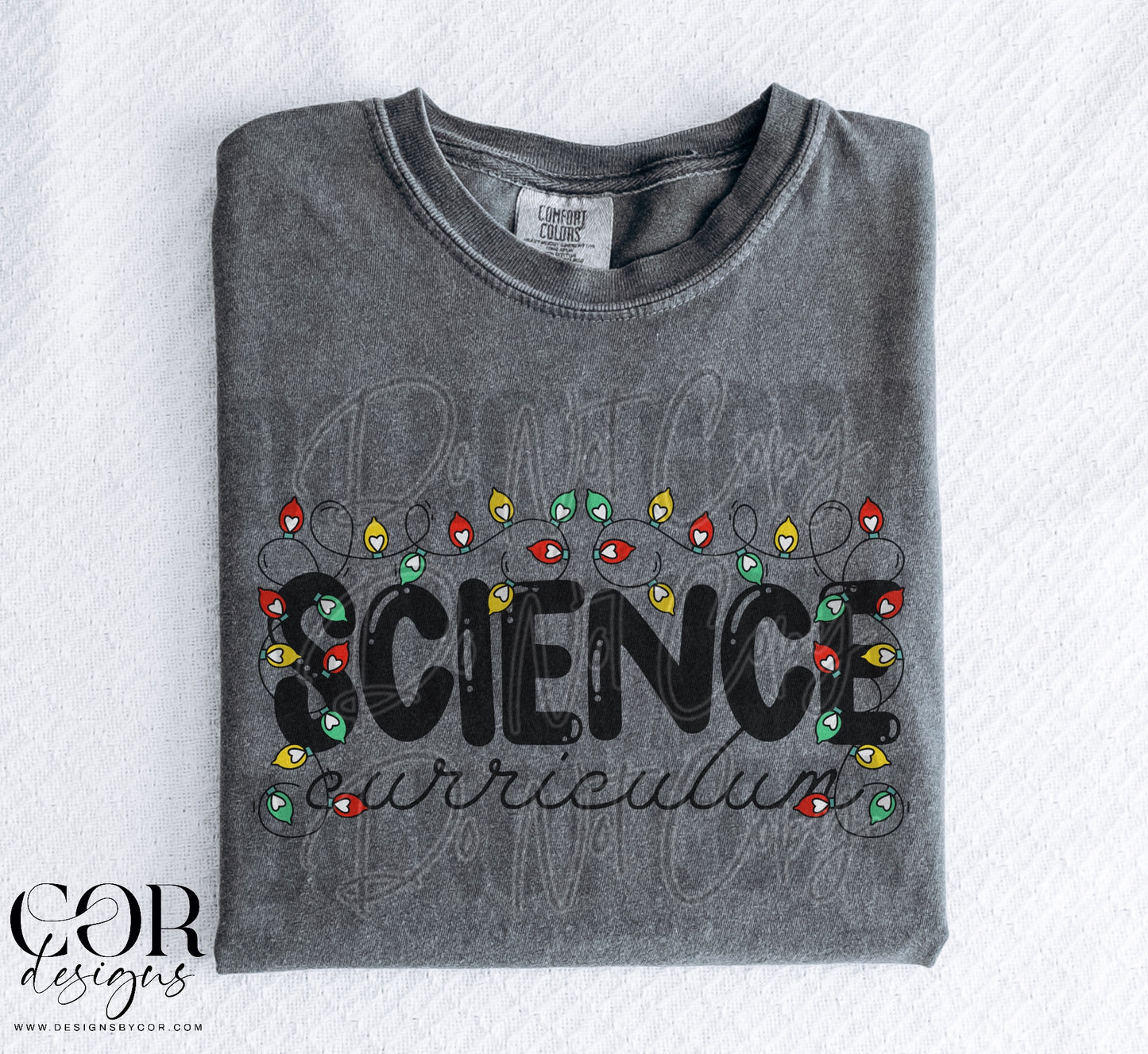 Science Curriculum (Christmas Lights)