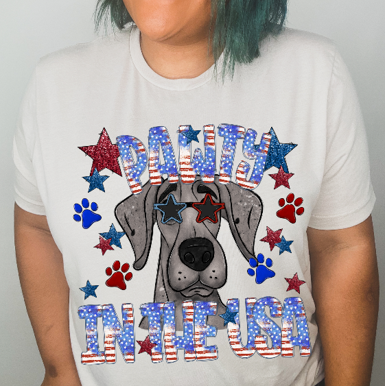 Pawty in the USA (Great Dane)