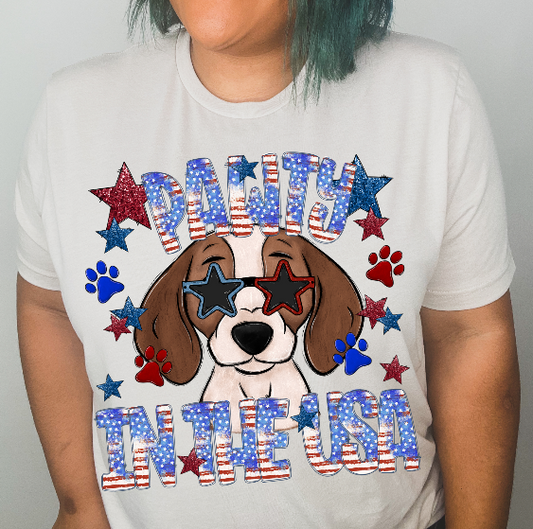 Pawty in the USA (Beagle)