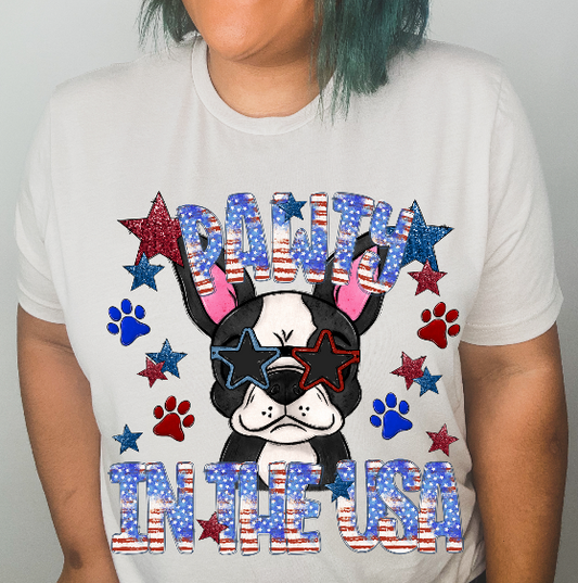 Pawty in the USA (Boston Terrier)