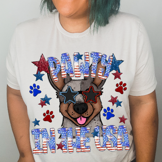 Pawty in the USA (Cattle Dog)