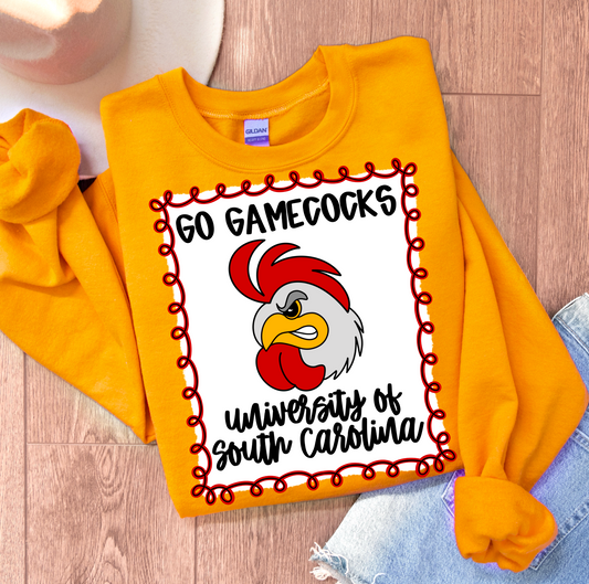 Go Gamecocks University of South Carolina