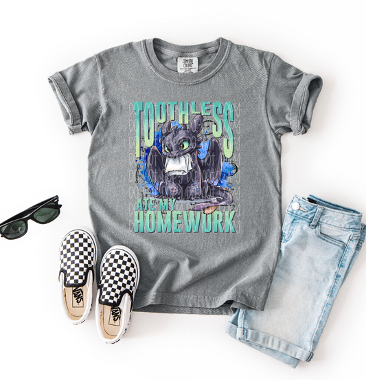 Toothless ate my homework