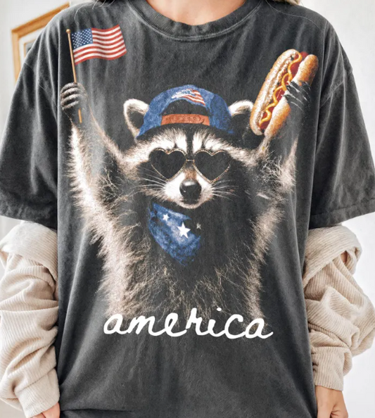 America Racoon HALFTONE
