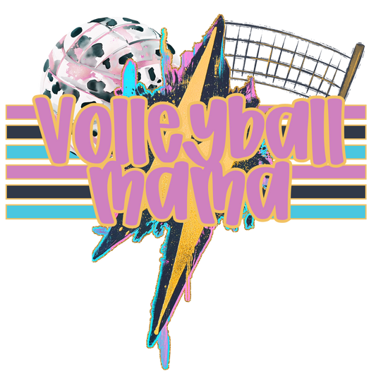 Volleyball Mama w/Ball & Net (geode)