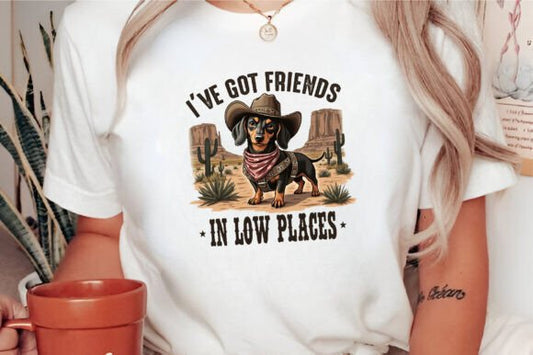 I've got friends in low places