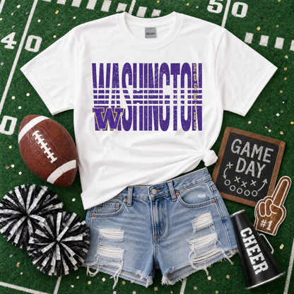 College Lined - Washington Huskies