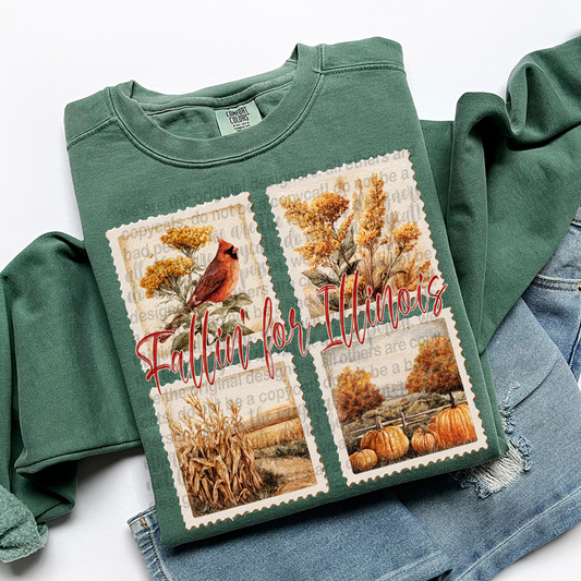 Fallin' for Illinois