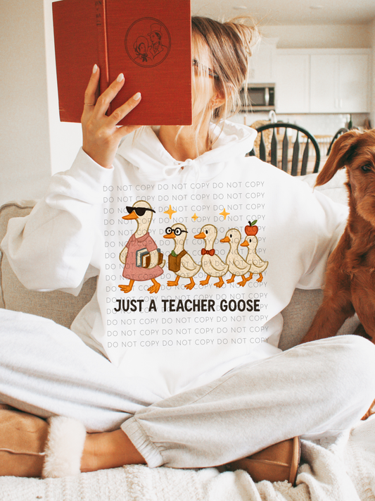 Just a teacher goose