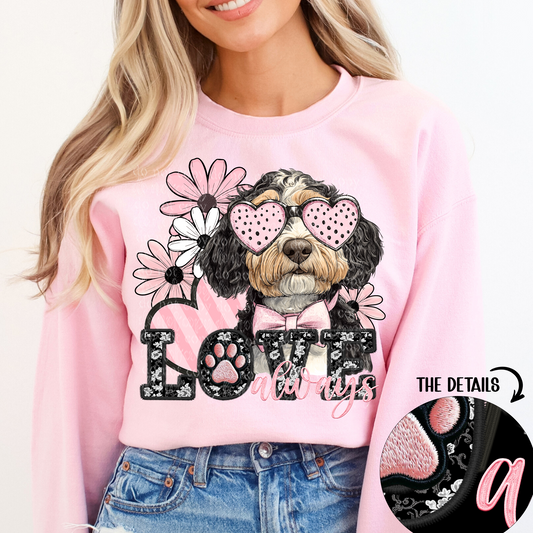 Love always Bernedoodle