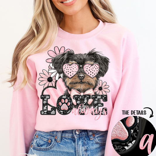 Love always Brown Maltese