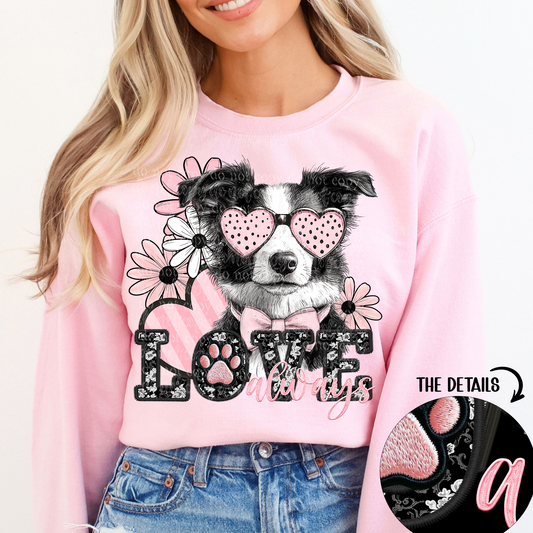 love always border collie