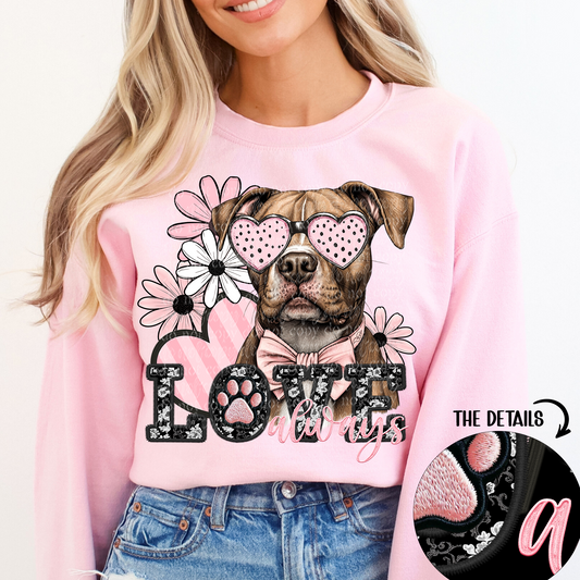 love always brown Pittbull